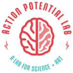 Action Potential Lab Kids Action Potential Lab